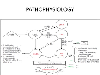 PATHOPHYSIOLOGY
 