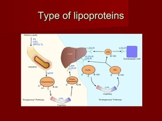 Type of lipoproteins
 