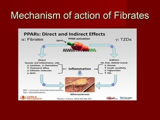 Mechanism of action of Fibrates
 