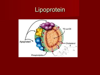 Lipoprotein
 