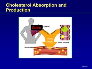 Slide 37
Cholesterol Absorption and
Production
Peripheral Tissues
Live
r
Cholesterol
Inhibition of
cholesterol
absorption
and production
Blood Vessel
Small Intestine
2/3
Bile
1/3
Foo
d
Lower cholesterol
in the plasma
Statin
 