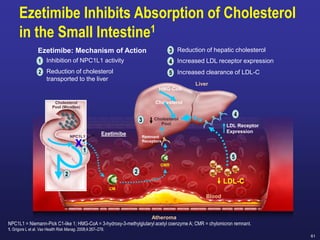 61
Atheroma
Liver
Blood
Cholesterol
Pool (Micelles)
NPC1L1 Remnant
Receptors
LDL Receptor
Expression
Cholesterol
HMG-CoA
CMR
CM
Ezetimibe
X
1
3
5
4
2
1 Inhibition of NPC1L1 activity
2 Reduction of cholesterol
transported to the liver
3 Reduction of hepatic cholesterol
4 Increased LDL receptor expression
5 Increased clearance of LDL-C
2
Ezetimibe: Mechanism of Action
LDL-C
NPC1L1 = Niemann-Pick C1-like 1; HMG-CoA = 3-hydroxy-3-methylglutaryl acetyl coenzyme A; CMR = chylomicron remnant.
1. Grigore L et al. Vas Health Risk Manag. 2008;4:267–278.
Cholesterol
Pool
Ezetimibe Inhibits Absorption of Cholesterol
in the Small Intestine1
 