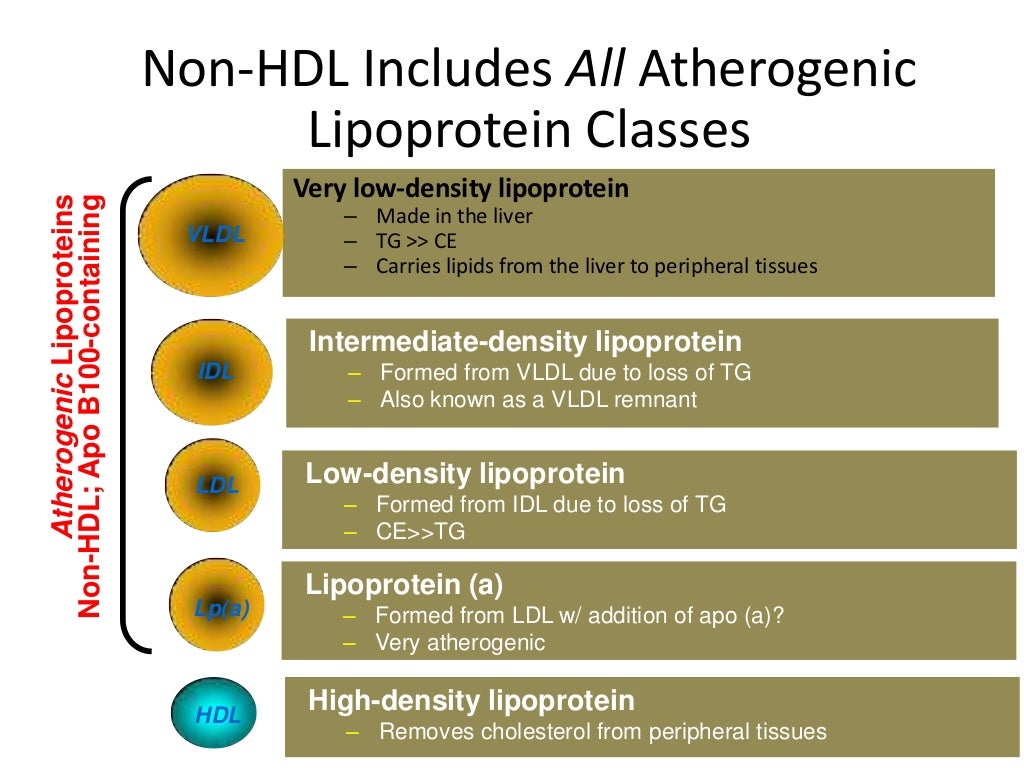 Dyslipidemia guideline review the transatlantic differences