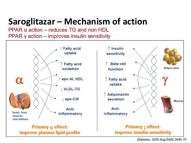 idarucizumab mechanism of action idarucizumab mechanism of action