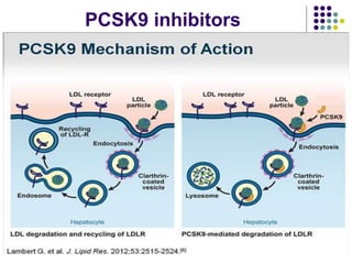 PCSK9 inhibitors
 