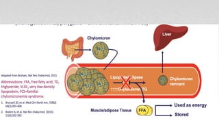 Comprehensive Overview of Dyslipidemias: Lipid Metabolism and Disorders ...