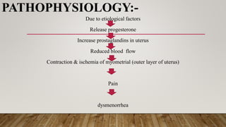 PATHOPHYSIOLOGY:-
Due to etiological factors
Release progesterone
Increase prostaglandins in uterus
Reduced blood flow
Contraction & ischemia of myometrial (outer layer of uterus)
Pain
dysmenorrhea
 