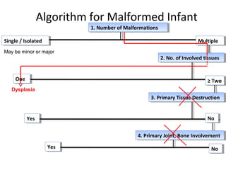 Algorithm for Malformed Infant
1. Number of Malformations1. Number of Malformations
2. No. of Involved tissues2. No. of Involved tissues
3. Primary Tissue Destruction3. Primary Tissue Destruction
May be minor or major
Single / IsolatedSingle / Isolated MultipleMultiple
OneOne
Dysplasia
≥ Two≥ Two
YesYes NoNo
4. Primary Joint, Bone Involvement4. Primary Joint, Bone Involvement
YesYes NoNo
 
