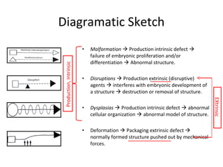 Diagramatic Sketch
• Malformation  Production intrinsic defect 
failure of embryonic proliferation and/or
differentiation  Abnormal structure.
• Disruptions  Production extrinsic (disruptive)
agents  interferes with embryonic development of
a structure  destruction or removal of structure.
• Dysplasias  Production intrinsic defect  abnormal
cellular organization  abnormal model of structure.
• Deformation  Packaging extrinsic defect 
normally formed structure pushed out by mechanical
forces.
Production,Intrinsic
EXtrinsic
 