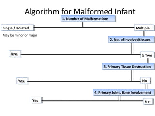 Algorithm for Malformed Infant
1. Number of Malformations1. Number of Malformations
2. No. of Involved tissues2. No. of Involved tissues
3. Primary Tissue Destruction3. Primary Tissue Destruction
May be minor or major
Single / IsolatedSingle / Isolated MultipleMultiple
OneOne ≥ Two≥ Two
YesYes NoNo
4. Primary Joint, Bone Involvement4. Primary Joint, Bone Involvement
YesYes NoNo
 