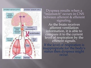 Dyspnea results when a
"mismatch" occurs in CNS
between afferent & efferent
signaling.
As the brain receives
afferent ventilation
information, it is able to
compare it to the current
level of respiration by the
efferent signals.
If the level of respiration is
inappropriate for the body's
status then dyspnea might
occur.
 