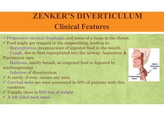 ZENKER’S DIVERTICULUM
Clinical Features
 Progressive cervical dysphagia and sense of a lump in the throat.
 Food might get trapped in the outpouching, leading to:
- Regurgitation, reappearance of ingested food in the mouth.
- Cough, due to food regurgitated into the airway. Aspiration &
Pneumonia rare
- Halitosis, smelly breath, as stagnant food is digested by
microorganisms
- Infection of diverticulum
 It rarely, if ever, causes any pain.
 Cervical webs are seen associated in 50% of patients with this
condition
 Usually there is H/O loss of weight
 A left-sided neck mass.
 