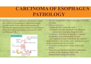 CARCINOMA OF ESOPHAGUS
PATHOLOGY
 Histological type: squamous carcinoma (upper
two-thirds of oesophagus); adenocarcinoma
(middle third, lower third and junctional).
 Worldwide squamous carcinoma is commonest
(80%) but adenocarcinoma accounts for >50%
in USA and UK.
 Spread: lymphatics, direct extension, vascular
invasion
 Direct extension:
- longitudinally along the wall
- Laterally through the wall into adjacent
structures- trachea, lungs & aorta
 Lymphatic: direction of spread to regional
lymphatics is predominantly caudal
- Any regional lymph node from the superior
mediastinum to the coeliac axis and lesser curve
of the stomach may be involved.
 Vascular: involve liver, lungs, brain and
bones.
 Tumours arising from the intra-abdominal
portion of the esophagus may also
disseminate transperitoneally.
 