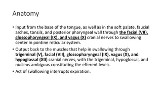 Anatomy
• Input from the base of the tongue, as well as in the soft palate, faucial
arches, tonsils, and posterior pharyngeal wall through the facial (VII),
glossopharyngeal (IX), and vagus (X) cranial nerves to swallowing
center in pontine reticular system.
• Output back to the muscles that help in swallowing through
trigeminal (V), facial (VII), glossopharyngeal (IX), vagus (X), and
hypoglossal (XII) cranial nerves, with the trigeminal, hypoglossal, and
nucleus ambiguus constituting the efferent levels.
• Act of swallowing interrupts expiration.
 