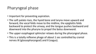 Pharyngeal phase
• Important for preventing aspiration.
• The soft palate rises, the hyoid bone and larynx move upward and
forward, the vocal folds move to the midline, the epiglottis folds
backward to protect the airway, and the tongue pushes backward and
downward into the pharynx to propel the bolus downward.
• The upper esophageal sphincter relaxes during the pharyngeal phase.
• This is a totally reflexive phage of about 1 sec controlled by cranial
nerves IX (glossopharyngeal) and X (vagus).
 