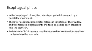 Esophageal phase
• In the esophageal phase, the bolus is propelled downward by a
peristaltic movement.
• The lower esophageal sphincter relaxes at initiation of the swallow,
and this relaxation persists until the food bolus has been propelled
into the stomach.
• An interval of 8-20 seconds may be required for contractions to drive
the bolus into the stomach.
 