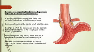 13
Lower oesophageal sphincter usually prevents
reflux by the following mechanisms:
a physiological high-pressure zone (not a true
sphincter) in the lower end of the oesophagus
the mucosal rosette at the cardia, which acts like a plug
the angle at which the oesophagus joins the stomach
between the left border of the oesophagus and the
fundus (angle of His)
the diaphragmatic sling (crura), which acts like a
pinchcock at the lower end of the oesophagus
the high-pressure area at the lower end of the
oesophagus, caused by the positive intra-abdominal
pressure.
 