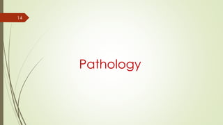 14
Pathology
 