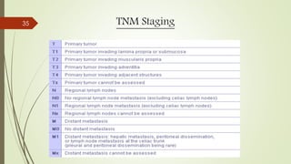 TNM Staging35
 