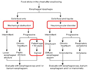 Dysphagia in the elderly@apr2014 present | PDF