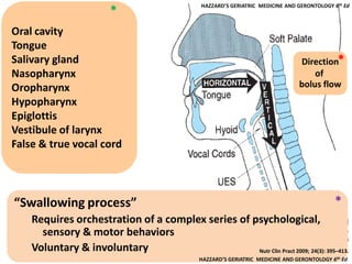 Dysphagia in the elderly@apr2014 present | PDF