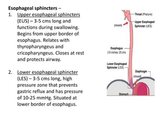 Dysphagia – non malignant causes | PPTX