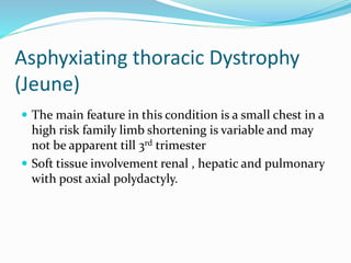 Asphyxiating thoracic Dystrophy
(Jeune)
 The main feature in this condition is a small chest in a
high risk family limb shortening is variable and may
not be apparent till 3rd trimester
 Soft tissue involvement renal , hepatic and pulmonary
with post axial polydactyly.
 
