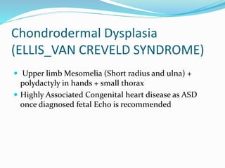 Chondrodermal Dysplasia
(ELLIS_VAN CREVELD SYNDROME)
 Upper limb Mesomelia (Short radius and ulna) +
polydactyly in hands + small thorax
 Highly Associated Congenital heart disease as ASD
once diagnosed fetal Echo is recommended
 