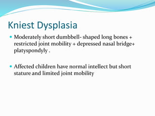 Kniest Dysplasia
 Moderately short dumbbell- shaped long bones +
restricted joint mobility + depressed nasal bridge+
platyspondyly .
 Affected children have normal intellect but short
stature and limited joint mobility
 