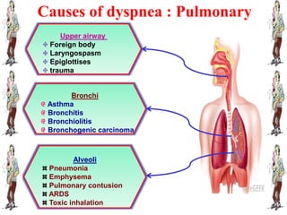 Causes of dyspnea : Pulmonary
Upper airway
Foreign body
Laryngospasm
Epiglottises
trauma
Bronchi
Asthma
Bronchitis
Bronchiolitis
Bronchogenic carcinoma
Alveoli
Pneumonia
Emphysema
Pulmonary contusion
ARDS
Toxic inhalation
 