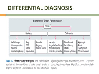 DIFFERENTIAL DIAGNOSIS 