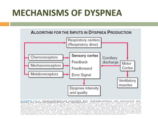 MECHANISMS OF DYSPNEA 