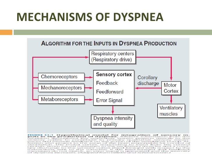 Dyspnea and Pulmonary Edema