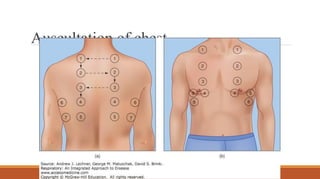 Auscultation of chest
 