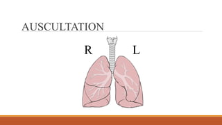 AUSCULTATION
R L
 