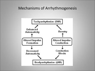 Mechanisms of Arrhythmogenesis
 