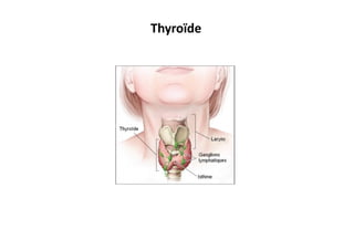 Thyroïde	
  
 