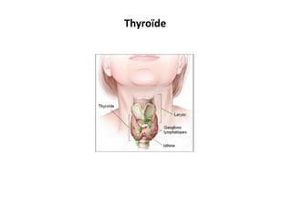 Dysthyroidie sl 13 12 16