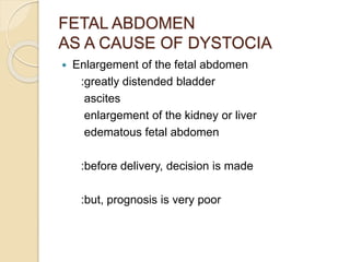FETAL ABDOMEN
AS A CAUSE OF DYSTOCIA
 Enlargement of the fetal abdomen
:greatly distended bladder
ascites
enlargement of the kidney or liver
edematous fetal abdomen
:before delivery, decision is made
:but, prognosis is very poor
 