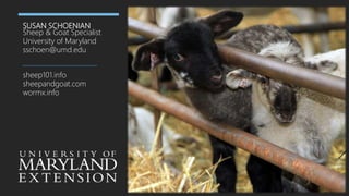 SUSAN SCHOENIAN
Sheep & Goat Specialist
University of Maryland
sschoen@umd.edu
sheep101.info
sheepandgoat.com
wormx.info
 