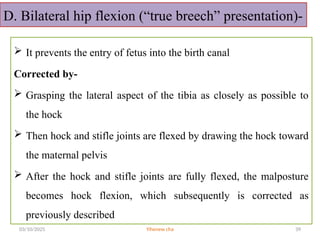 DYSTOCIA managements in cow. pp including the etiology ,predisposing ...