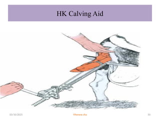 DYSTOCIA managements in cow. pp including the etiology ,predisposing ...