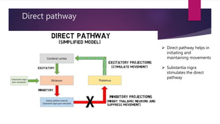 Direct pathway
 Direct pathway helps in
initiating and
maintaining movements
 Substantia nigra
stimulates the direct
pathway
 