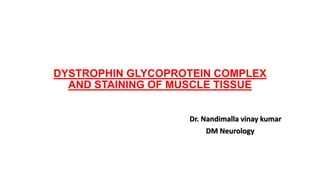DYSTROPHIN GLYCOPROTEIN COMPLEX
AND STAINING OF MUSCLE TISSUE
Dr. Nandimalla vinay kumar
DM Neurology
 