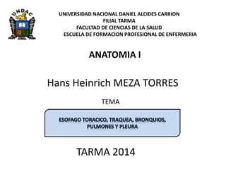 UNIVERSIDAD NACIONAL DANIEL ALCIDES CARRION
FILIAL TARMA
FACULTAD DE CIENCIAS DE LA SALUD
ESCUELA DE FORMACION PROFESIONAL DE ENFERMERIA
ANATOMIA I
Hans Heinrich MEZA TORRES
TARMA 2014
TEMA
 