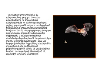 Չղջիկները կողմնորոշվում են
անդրաձայնով. թռչելիս մոտակա
առարկաներից ու միջատներից
անդրադարձած իր ձայնի արձագանքով
չղջիկը շրջանցում է անշարժ արգելքը կամ
հետապնդում միջատին։Ժամանակակից
նավերում կա մի տեղորոշիչ սարք (ռադար),
որը նույնպես գործում է անդրաձայնի
սկզբունքով և թանձր մառախուղի
ժամանակ անգամ օգնում է հայտնաբերելու
ժայռը, այսբերգը (սառցալեռը) կամ այլ
կարգի վտանգներ։ Չղջիկները բնակվում են
փչակներում, ժայռաճեղքերում,
քարանձավներում՝ մինչև մի քանի միլիոնի
հասնող գաղութներով։ Տարածված են
չափավոր կլիմայով վայրերում։
 