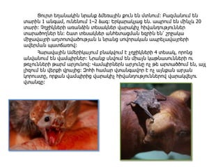 Ցուրտ եղանակին նրանք ձմեռային քուն են մտնում։ Բազմանում են
տարին 1 անգամ, ունենում 1–2 ձագ։ Երկարակյաց են. ապրում են մինչև 20
տարի։ Չղջիկների առանձին տեսակներ վարակիչ հիվանդություններ
տարածողներ են։ Շատ տեսակներ անհետացման եզրին են՝ շրջակա
միջավայրի աղտոտվածության և նրանց սովորական ապրելավայրերի
ավերման պատճառով։
Հարավային Ամերիկայում բնակվում է չղջիկների 4 տեսակ, որոնց
անվանում են վամպիրներ։ Նրանք սնվում են միայն կաթնասունների ու
թռչունների թարմ արյունով։ Վամպիրներն արյունը ոչ թե արտածծում են, այլ
լիզում են վերքի վրայից։ Զոհի համար վտանգավոր է ոչ այնքան արյան
կորուստը, որքան վամպիրից վարակիչ հիվանդություններով վարակվելու
վտանգը։
 