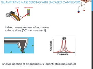 QUANTITATIVE MASS SENSING WITH ENCASED CANTILEVERS

Indirect measurement of mass over
surface stress (DC measurement)

0

...