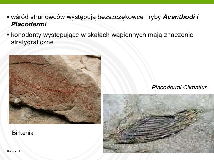 Cyrkon datowany na skały metamorficzne