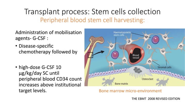 HEMATOPOIETIC STEM CELL TRANSPLANTATION | PPTX